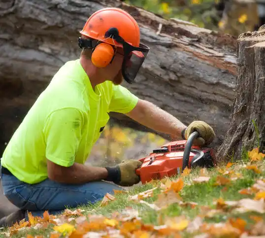 tree services Gibson